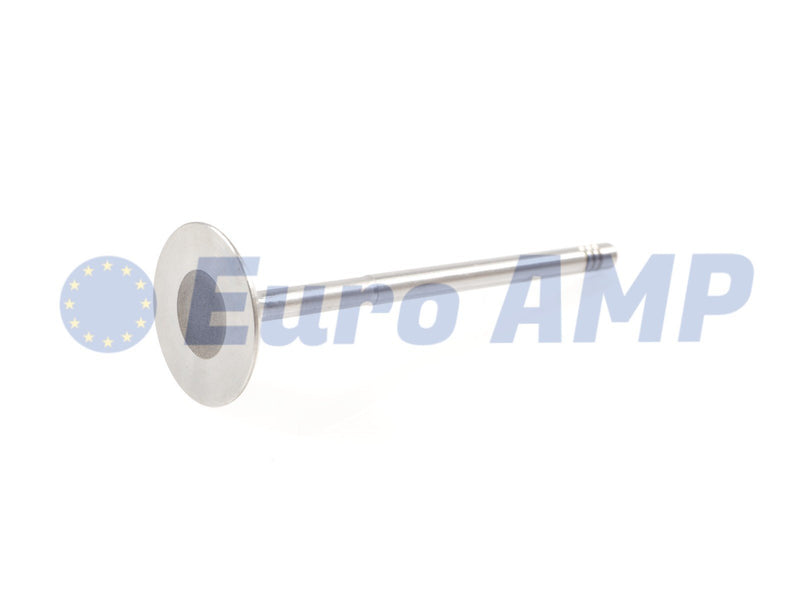 Porsche Panamera Macan Cayenne Intake & Exhaust Valves (24) 3.0 V6 TFSI EA839