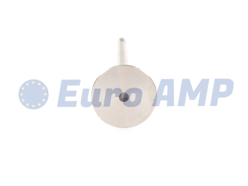 Porsche Panamera Macan Cayenne Intake & Exhaust Valves (24) 3.0 V6 TFSI EA839