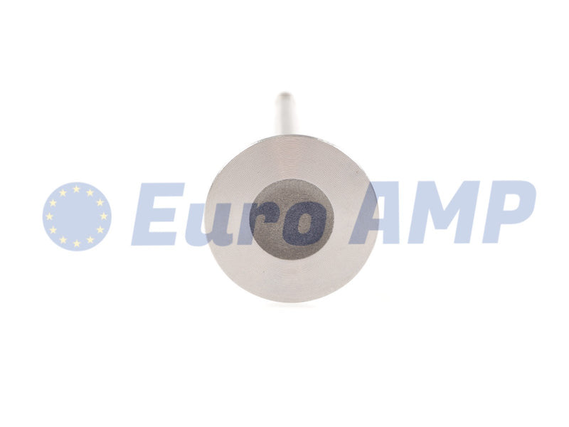 Porsche Panamera Macan Cayenne Intake & Exhaust Valves (24) 3.0 V6 TFSI EA839