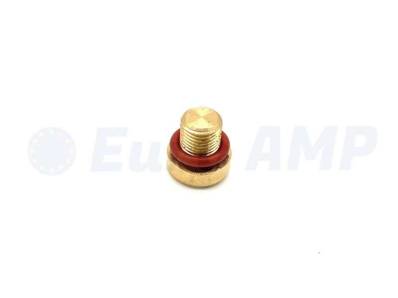 2010-2023 Land Rover Expansion Tank Hose Coolant Water Bleeder Screw Brass - Ingenium 2.0L L4 - 2.0L L4 EcoBoost 204PT - Ingenium 3.0L L6 - 3.0L V6 - 4.2L V8 - 4.4L V8 - 5.0L V8 – (LR055301)