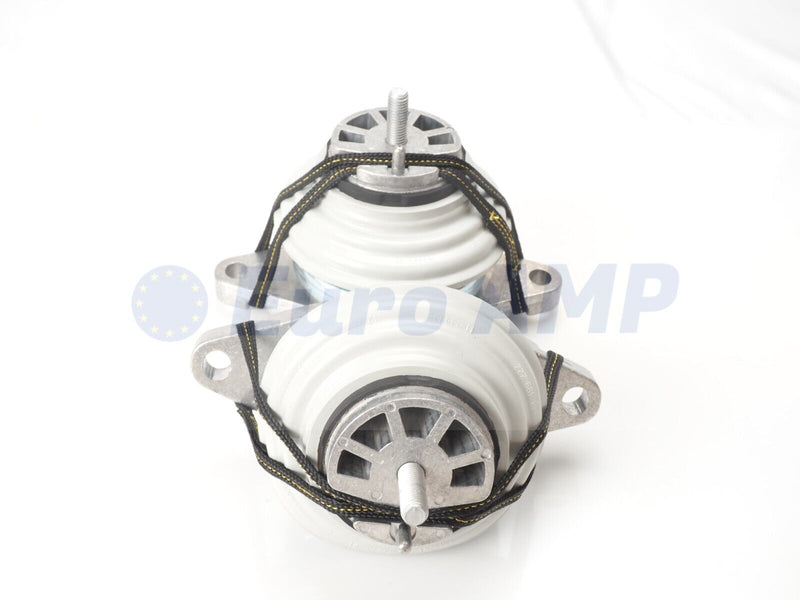 2013-2019 Jaguar XF XJ Engine Motor Mount Left and Right 3.0L V6 AWD C2D19070