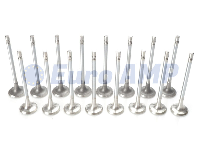 Jaguar Land Rover Engine Intake & Exhaust Valve 16PC 2.0 I4 Diesel AJ200D 204DTD